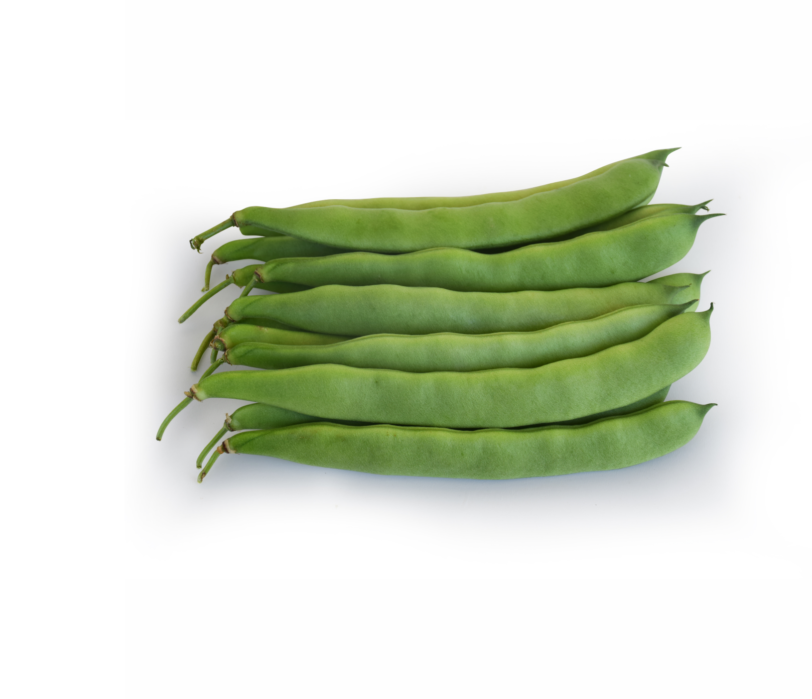 baroma